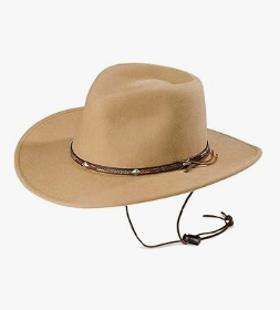 Stetson Men's Gallatin Crushable Wool Hat